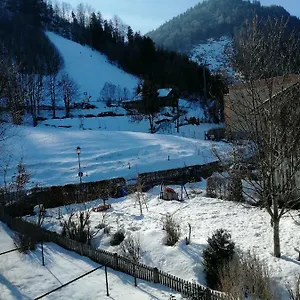 Elsa Immenstadt im Allgäu